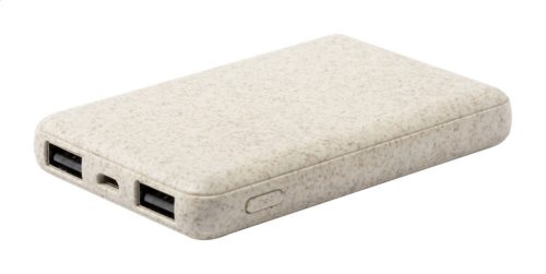 Durum power bank