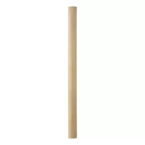 Carpenter ceruza